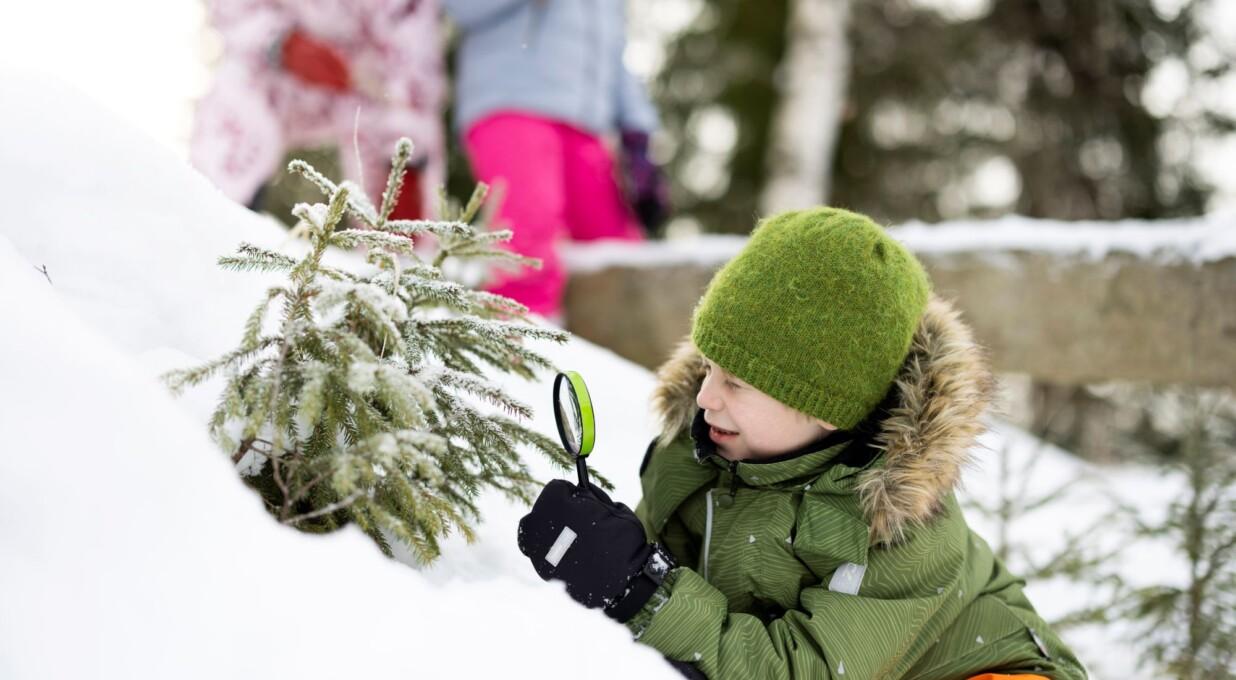 Poika tutkii kuusta suurennuslasilla talvisessa metsässä.