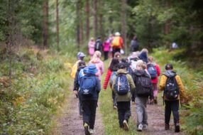 Joukko koululaisia kävelee metsäpolulla.